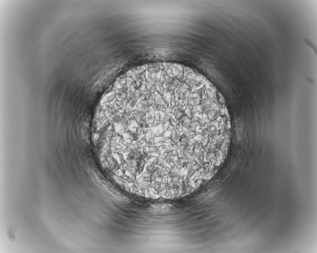 X0000100220450200806271731