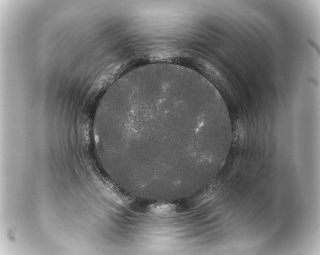 X0000100220452200806271731