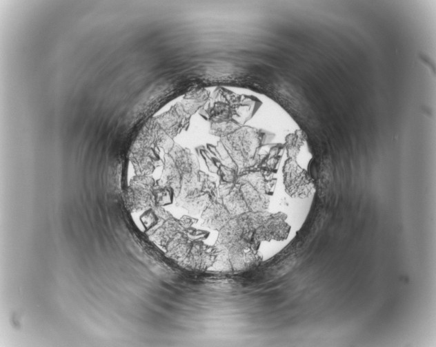 X0000100220454200806271731