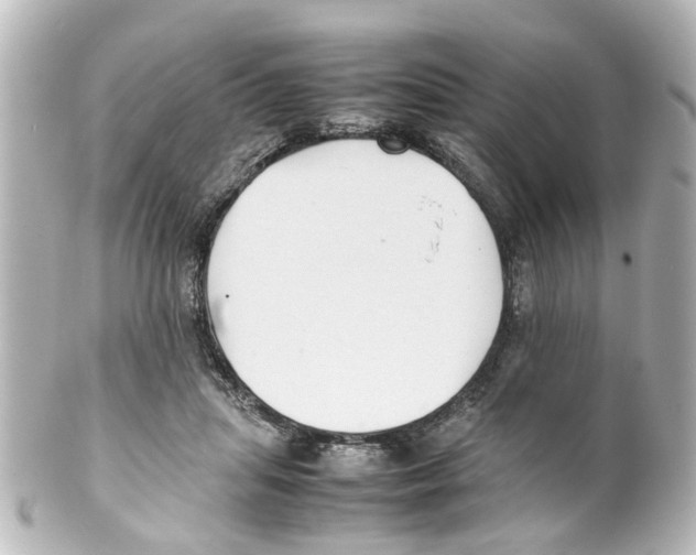 X0000100220455200806271731