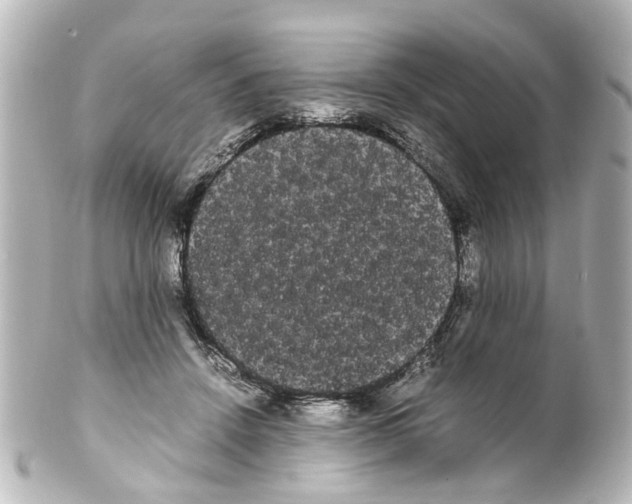 X0000100220456200806271731