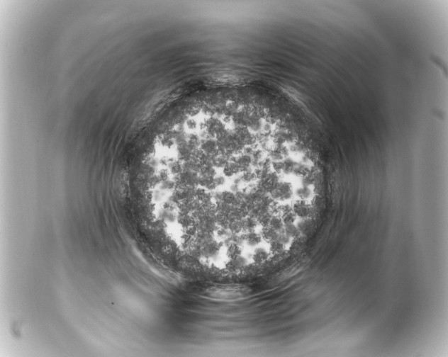 X0000100220459200806271731