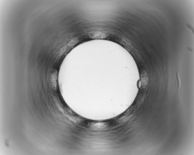 X0000100220460200806271731