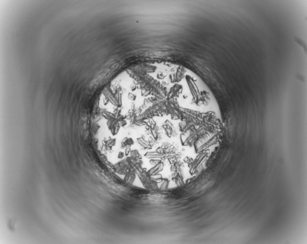 X0000100220462200806271731