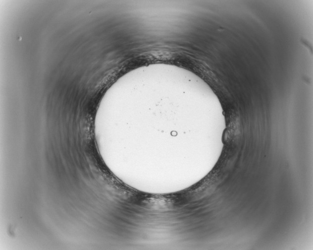 X0000100220464200806271731