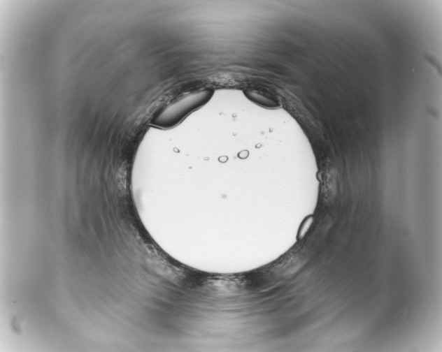 X0000100220466200806271731