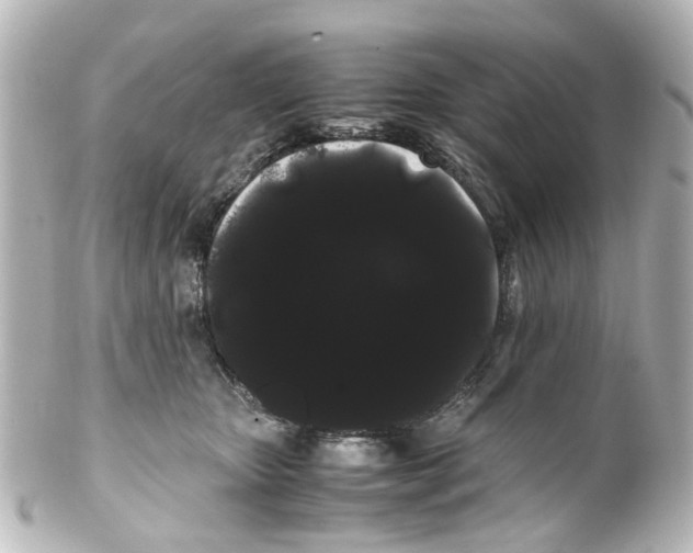 X0000100220467200806271731