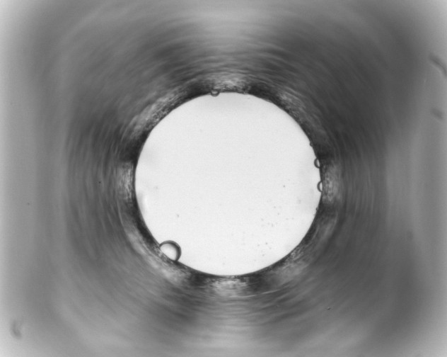 X0000100220468200806271731