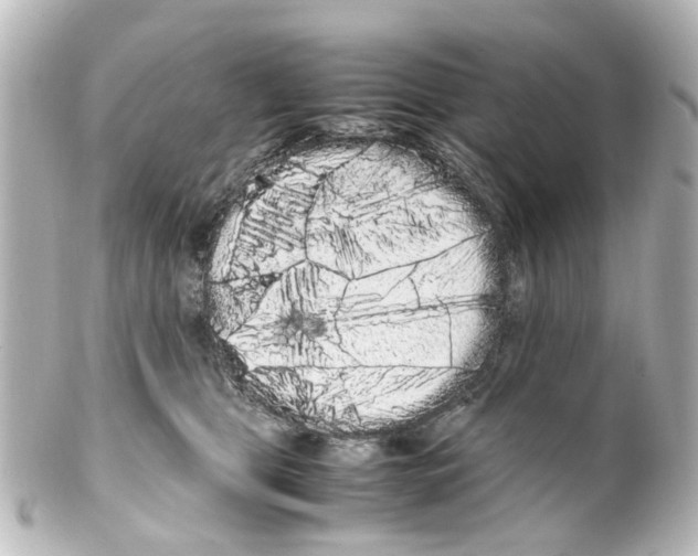 X0000100220469200806271731