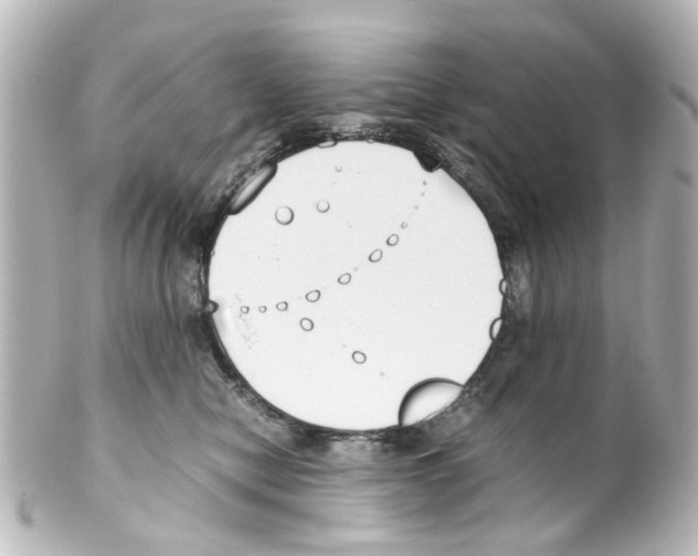 X0000100220470200806271731