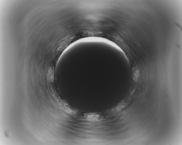 X0000100220471200806271731