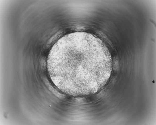 X0000100220472200806271731