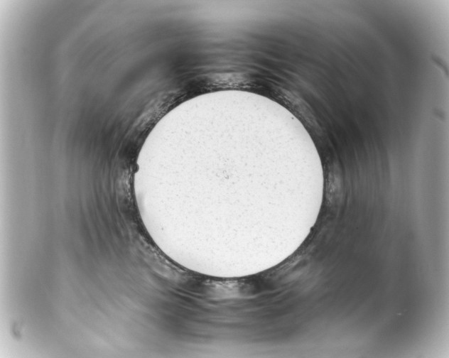 X0000100220473200806271731