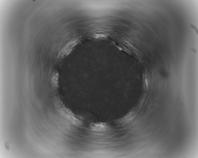 X0000100220475200806271731