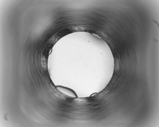 X0000100220477200806271731