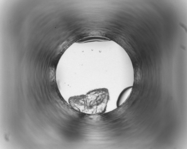 X0000100220478200806271731