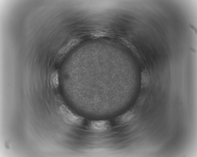 X0000100220479200806271731