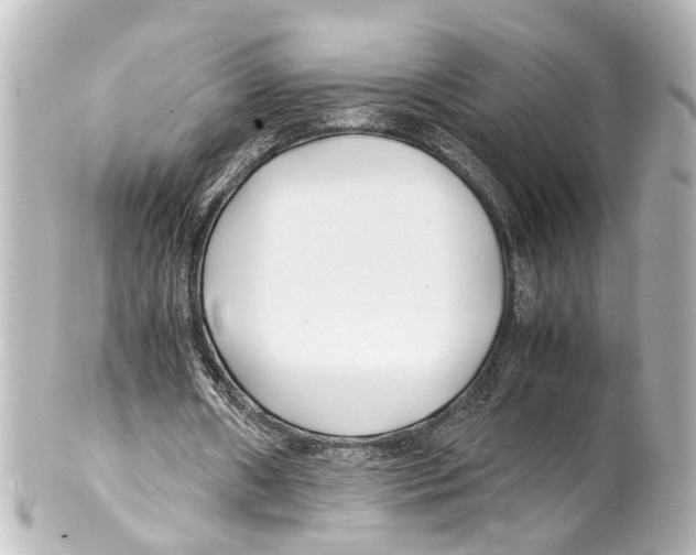 X0000100220482200806271730