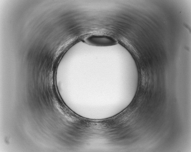 X0000100220486200806271730