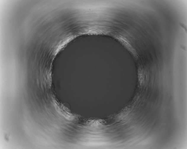 X0000100220488200806271730