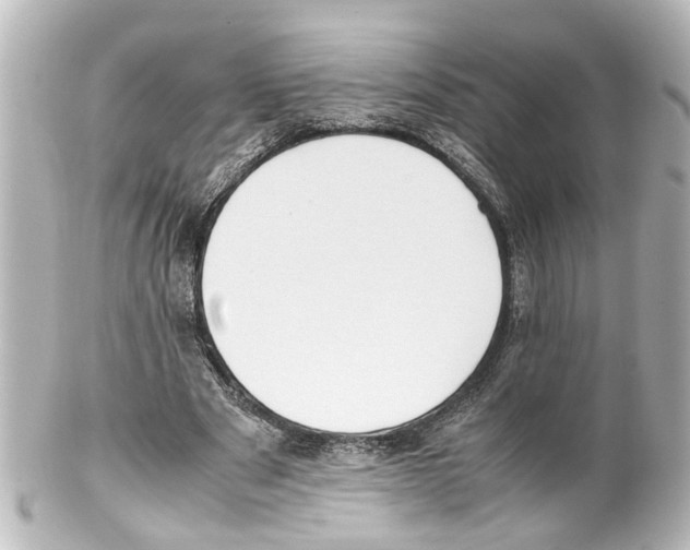 X0000100220489200806271730