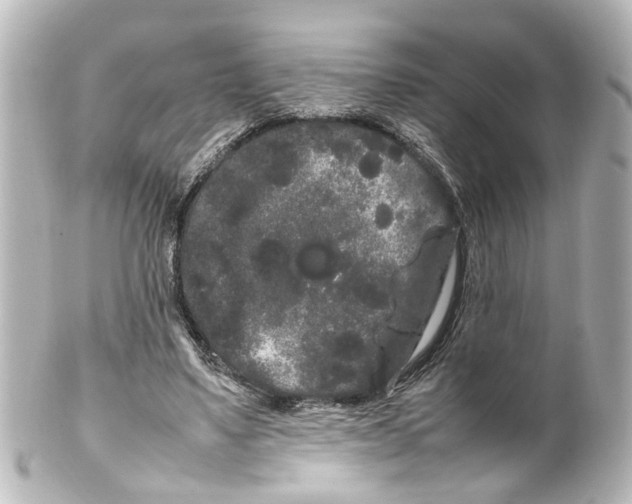 X0000100220491200806271730