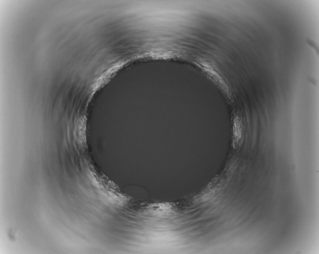 X0000100220492200806271730