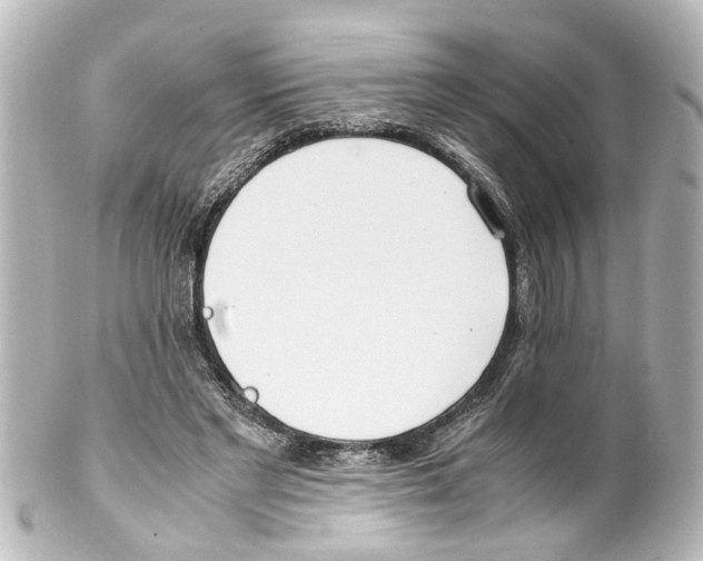 X0000100220493200806271730