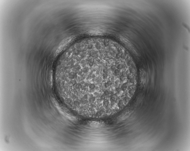 X0000100220494200806271730