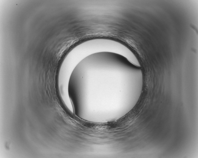 X0000100220495200806271730