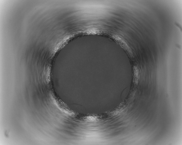 X0000100220496200806271730