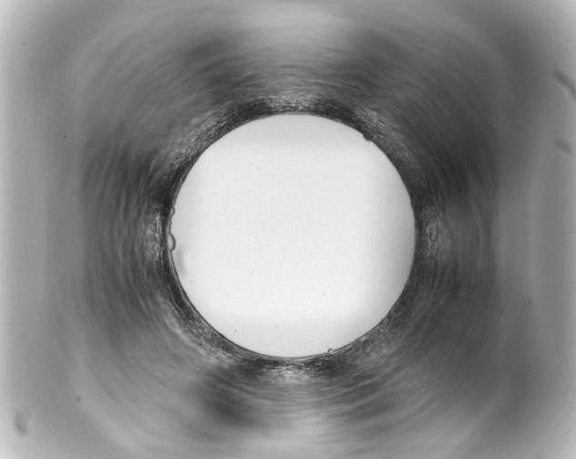 X0000100220498200806271730