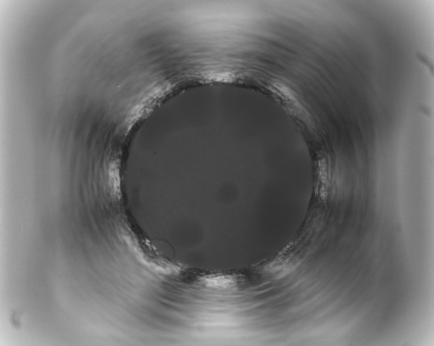 X0000100220500200806271730