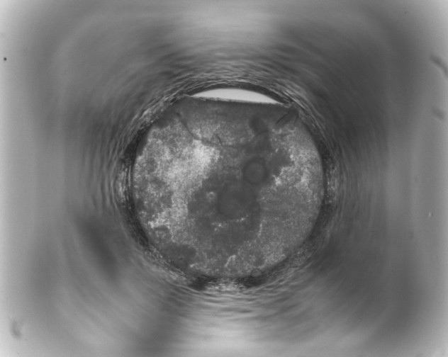 X0000100220503200806271730