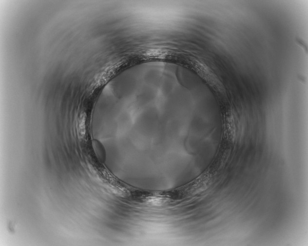 X0000100220504200806271730