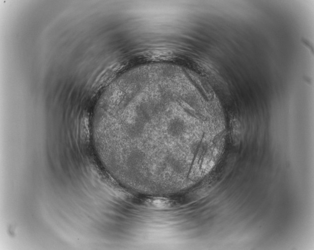 X0000100220506200806271730