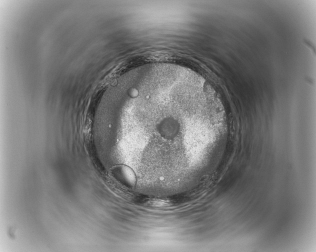 X0000100220507200806271730