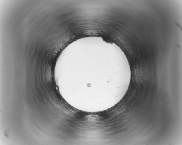 X0000100220508200806271730