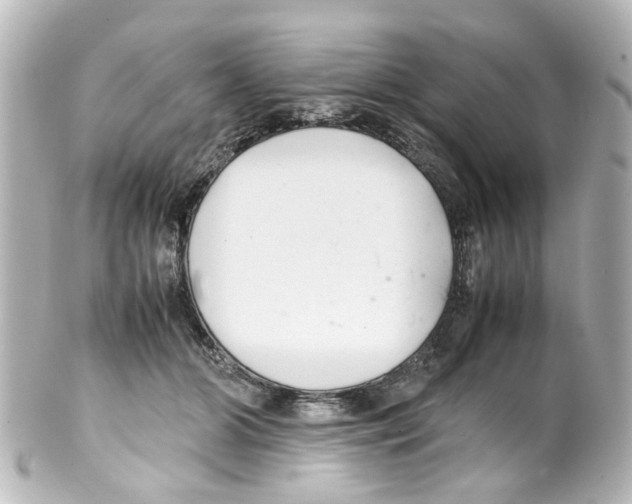 X0000100220510200806271730