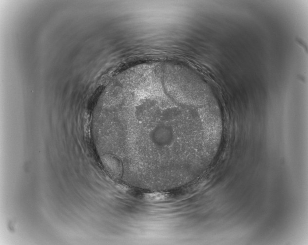 X0000100220511200806271730