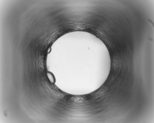 X0000100220512200806271730