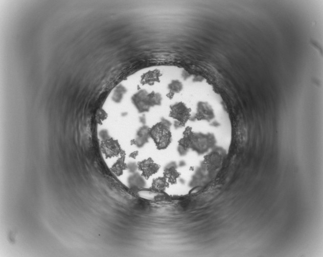 X0000100220516200806271730