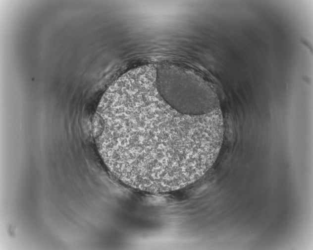 X0000100220523200806271730