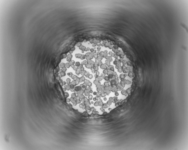 X0000100220524200806271730