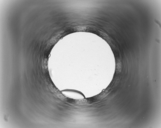 X0000100220525200806271730