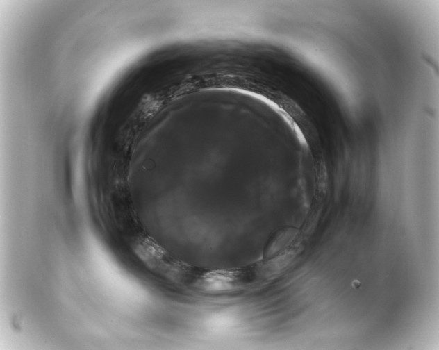 X0000100220526200806271730