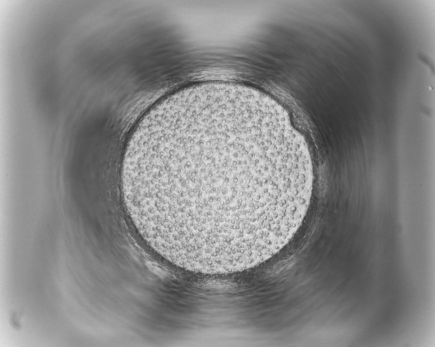 X0000100220529200806271729