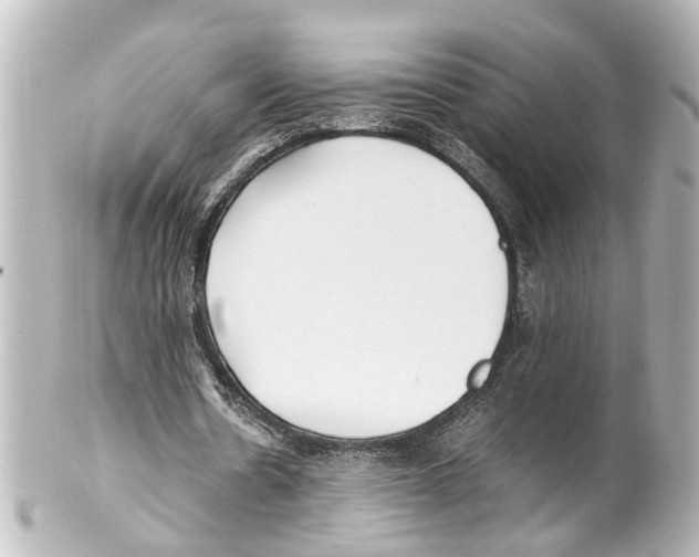 X0000100220530200806271729