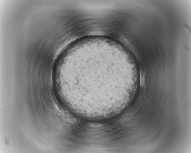 X0000100220531200806271729