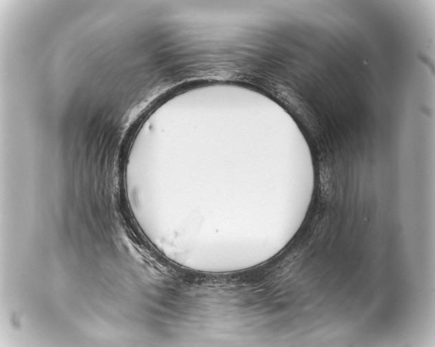 X0000100220532200806271729